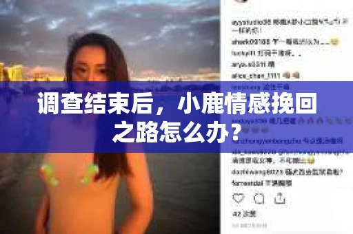 调查结束后，小鹿情感挽回之路怎么办？