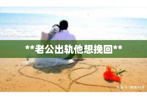 **老公出轨他想挽回**