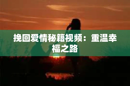 挽回爱情秘籍视频：重温幸福之路