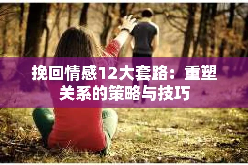 挽回情感12大套路：重塑关系的策略与技巧