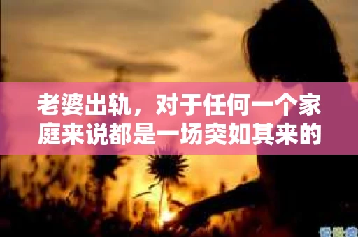 老婆出轨，对于任何一个家庭来说都是一场突如其来的风暴。面对这样的困境，如何挽回婚姻，重拾家庭的和谐，成为了许多人迫切想要了解的问题。今天，我们就来聊聊这个敏感而现实的话题——老婆出轨最好的挽回办法。