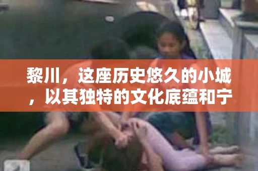 黎川，这座历史悠久的小城，以其独特的文化底蕴和宁静的生活节奏吸引着无数游客。然而，在这样一个看似平静的城市里，你是否会好奇，有没有私家侦探机构的存在呢？今天，就让我带你一探究竟。