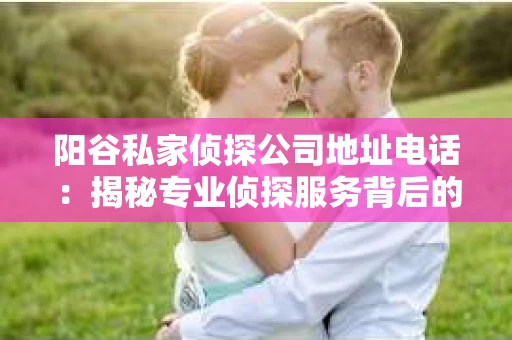 阳谷私家侦探公司地址电话：揭秘专业侦探服务背后的故事
