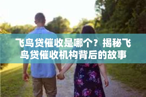 飞鸟贷催收是哪个？揭秘飞鸟贷催收机构背后的故事