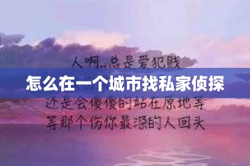 怎么在一个城市找私家侦探