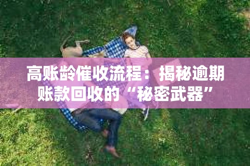 高账龄催收流程：揭秘逾期账款回收的“秘密武器”