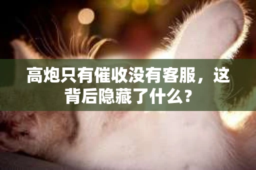 高炮只有催收没有客服，这背后隐藏了什么？