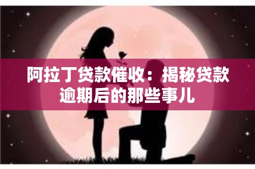 阿拉丁贷款催收：揭秘贷款逾期后的那些事儿