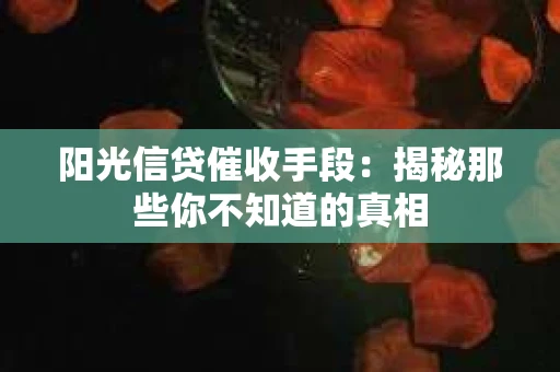 阳光信贷催收手段：揭秘那些你不知道的真相