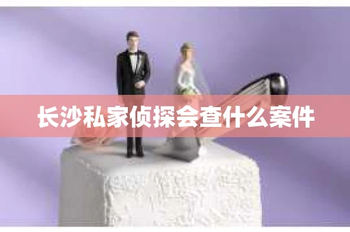 长沙私家侦探会查什么案件
