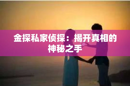 金探私家侦探：揭开真相的神秘之手