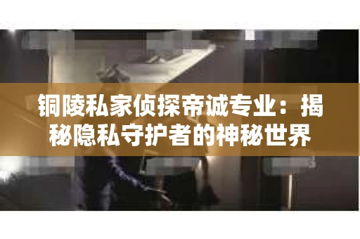 铜陵私家侦探帝诚专业：揭秘隐私守护者的神秘世界