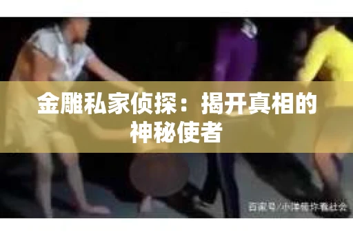 金雕私家侦探：揭开真相的神秘使者
