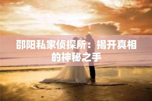邵阳私家侦探所：揭开真相的神秘之手