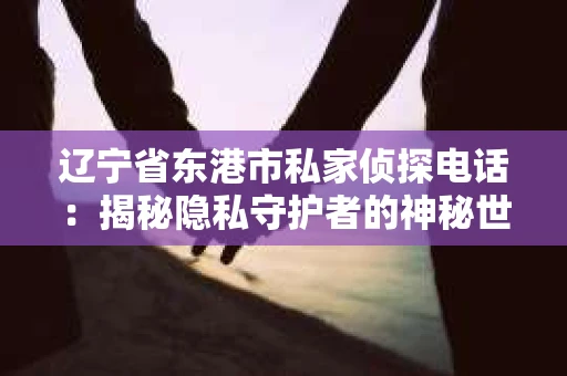 辽宁省东港市私家侦探电话：揭秘隐私守护者的神秘世界