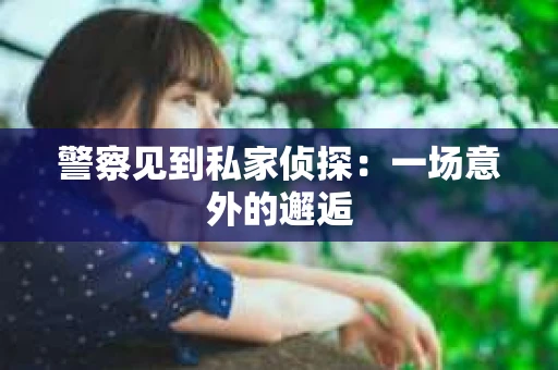 警察见到私家侦探：一场意外的邂逅