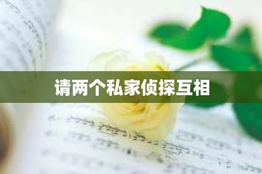 请两个私家侦探互相