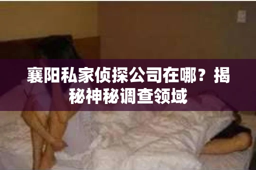 襄阳私家侦探公司在哪？揭秘神秘调查领域