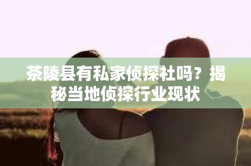 茶陵县有私家侦探社吗？揭秘当地侦探行业现状
