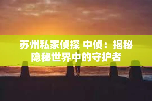 苏州私家侦探 中侦：揭秘隐秘世界中的守护者