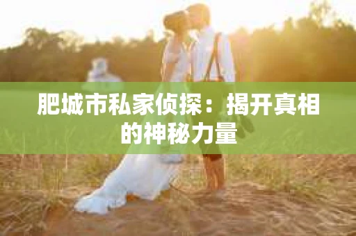 肥城市私家侦探：揭开真相的神秘力量