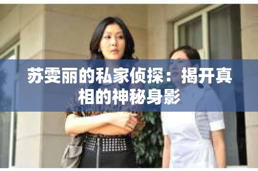 苏雯丽的私家侦探：揭开真相的神秘身影