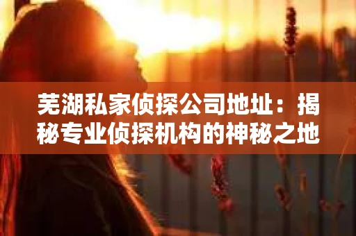 芜湖私家侦探公司地址：揭秘专业侦探机构的神秘之地