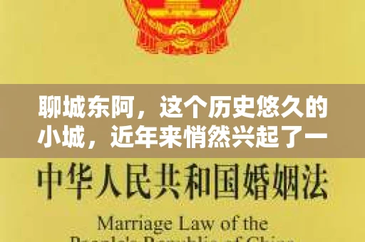 聊城东阿，这个历史悠久的小城，近年来悄然兴起了一股新的服务潮流——私家侦探。今天，我们就来聊聊这个话题，看看在聊城东阿，私家侦探是如何成为人们生活中的一部分的。