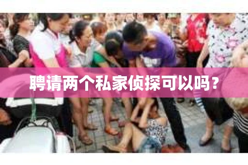 聘请两个私家侦探可以吗？