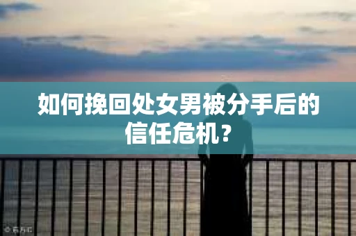 如何挽回处女男被分手后的信任危机? 如何挽回处女男被分手后的信任危机?