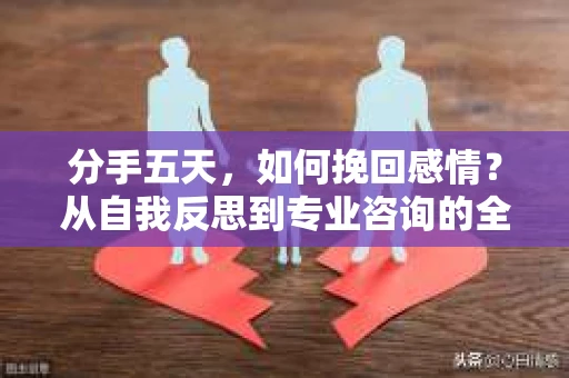 分手五天，如何挽回感情？从自我反思到专业咨询的全面解决方案