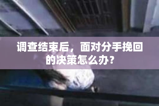 调查结束后，面对分手挽回的决策怎么办？