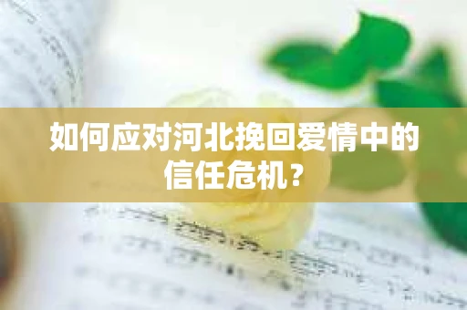 如何应对河北挽回爱情中的信任危机？