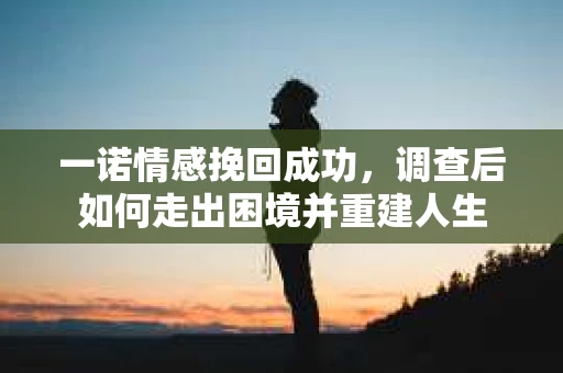 一诺情感挽回成功，调查后如何走出困境并重建人生